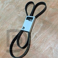 Фото (SM.8РК2166) Ремень №2166 генератора 3302 Бизнес,NEXT дв.Cummins 2,8 Евро-4 (8PK) (5312821). SDV