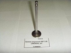 Фото ( 3940735) Клапан ГАЗ-3310 Валдай,ПАЗ дв.Cummins 3,8 впускной