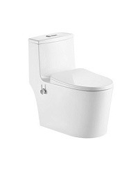 Фото Унитаз-моноблок с биде безободковый арматура ( с гофрой и подводкой) 5003B