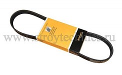 Фото Ремень №1030 генератора ГАЗель-3302 дв.ГАЗ-560 Штайер дизель 6РК поликл.без ГУРа Contitech