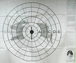 Фото Мишень стодольная